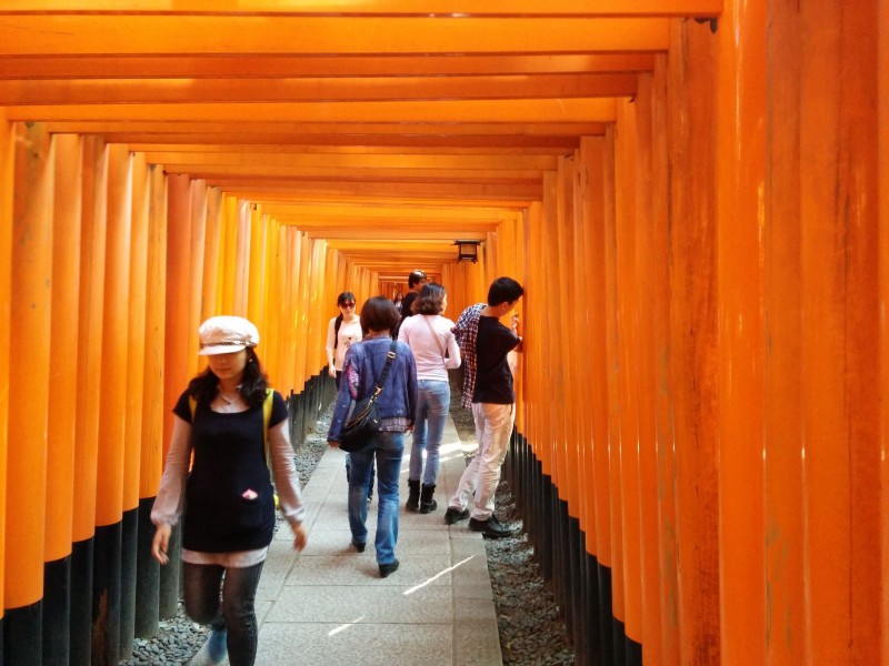 Einige wenige Torii beim Fushimi Inari-Taisha.